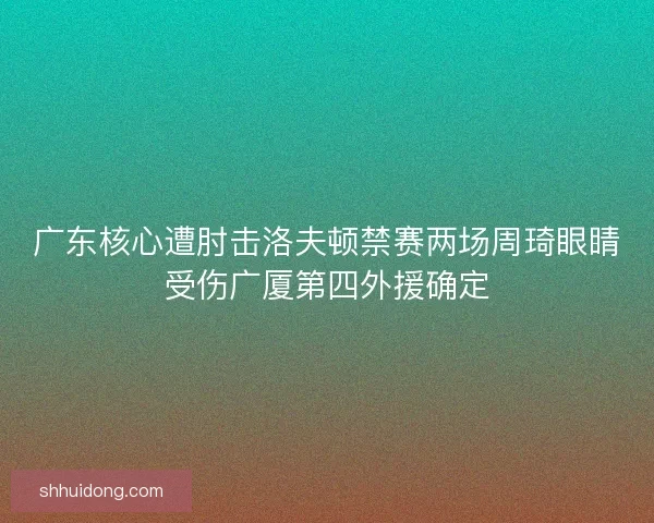 广东核心遭肘击洛夫顿禁赛两场周琦眼睛受伤广厦第四外援确定