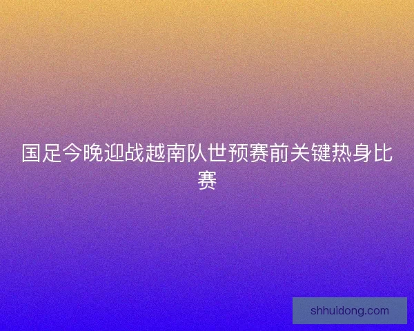 国足今晚迎战越南队世预赛前关键热身比赛